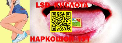 гидропоника Новозыбков