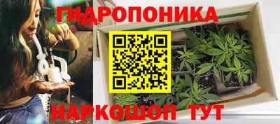 гидропоника Новозыбков