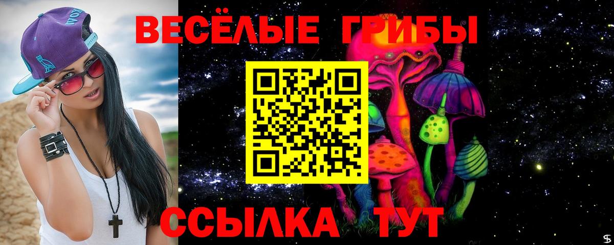 Псков  Псилоцибиновые грибы GOLDEN TEACHER  Вход с VPN 